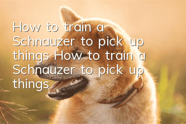 How to train a Schnauzer to pick up things? How to train a Schnauzer to pick up things?