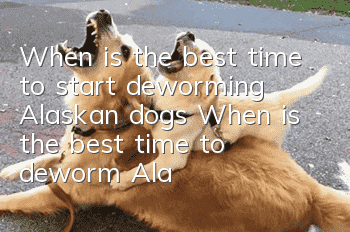 When is the best time to start deworming Alaskan dogs? When is the best time to deworm Alaskan dogs!