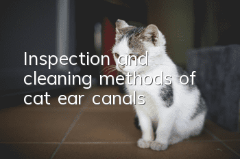 Inspection and cleaning methods of cat ear canals
