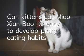 Can kittens eat Miao Xian Bao? It’s easy to develop picky eating habits