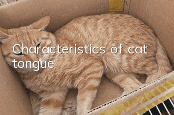 Characteristics of cat tongue
