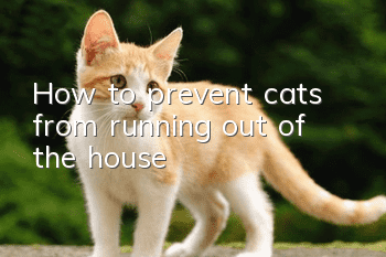 How to prevent cats from running out of the house?