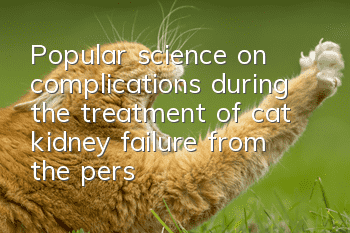 Popular science on complications during the treatment of cat kidney failure, from the personal experience of the shit shovel officer!