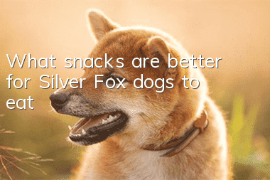 What snacks are better for Silver Fox dogs to eat?