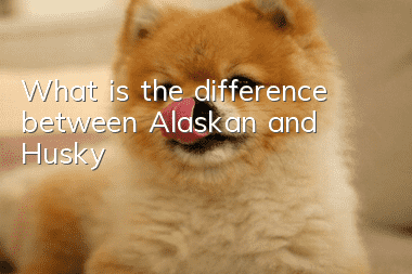 What is the difference between Alaskan and Husky?