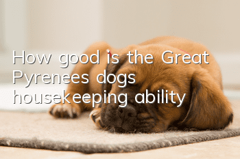 How good is the Great Pyrenees dog's housekeeping ability?