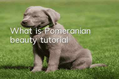What is Pomeranian beauty tutorial?