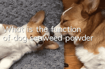 What is the function of dog seaweed powder?