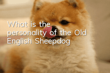 What is the personality of the Old English Sheepdog?