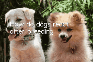How do dogs react after breeding?