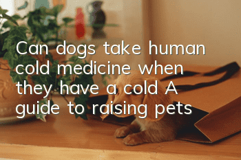 Can dogs take human cold medicine when they have a cold? A guide to raising pets!