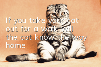 If you take your cat out for a walk, will the cat know the way home?