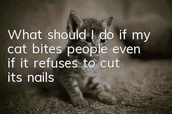 What should I do if my cat bites people even if it refuses to cut its nails?