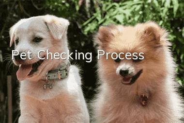 Pet Checking Process