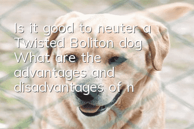 Is it good to neuter a Twisted Boliton dog? What are the advantages and disadvantages of neutering a Twisted Boliton dog?