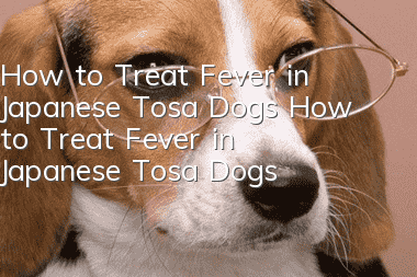 How to Treat Fever in Japanese Tosa Dogs How to Treat Fever in Japanese Tosa Dogs