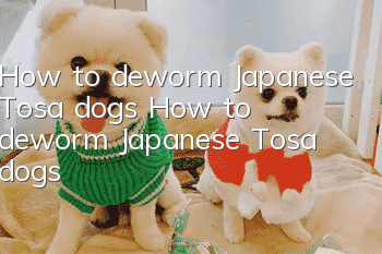 How to deworm Japanese Tosa dogs How to deworm Japanese Tosa dogs