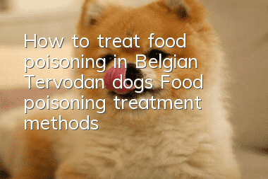 How to treat food poisoning in Belgian Tervodan dogs? Food poisoning treatment methods