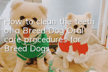 How to clean the teeth of a Breed Dog? Oral care procedures for Breed Dogs