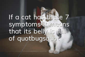 If a cat has these 7 symptoms, it means that its belly is full of "bugs"