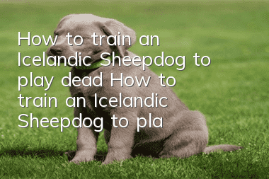 How to train an Icelandic Sheepdog to play dead? How to train an Icelandic Sheepdog to play dead?