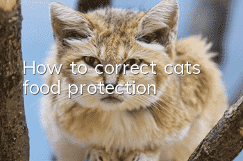 How to correct cats’ food protection?