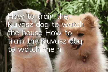 How to train the Kuvasz dog to watch the house? How to train the Kuvasz dog to watch the house?