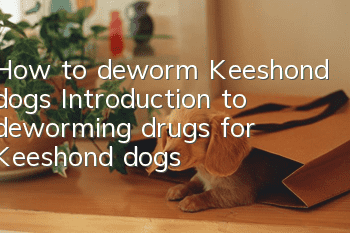 How to deworm Keeshond dogs? Introduction to deworming drugs for Keeshond dogs