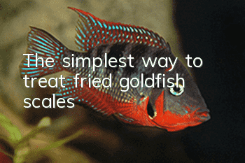 The simplest way to treat fried goldfish scales