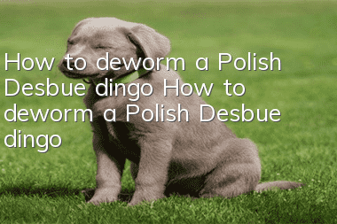 How to deworm a Polish Desbue dingo? How to deworm a Polish Desbue dingo?
