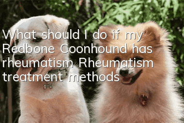 What should I do if my Redbone Coonhound has rheumatism? Rheumatism treatment methods