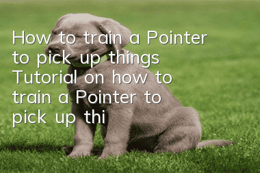 How to train a Pointer to pick up things Tutorial on how to train a Pointer to pick up things