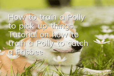 How to train a Polly to pick up things Tutorial on how to train a Polly to catch a Frisbee