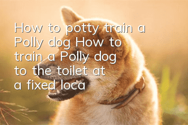 How to potty train a Polly dog? How to train a Polly dog to the toilet at a fixed location?