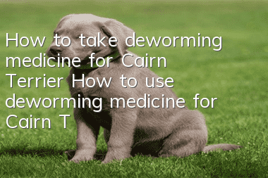 How to take deworming medicine for Cairn Terrier How to use deworming medicine for Cairn Terrier
