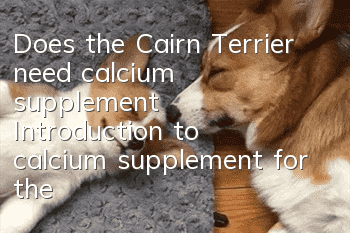 Does the Cairn Terrier need calcium supplement? Introduction to calcium supplement for the Cairn Terrier