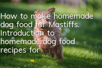How to make homemade dog food for Mastiffs. Introduction to homemade dog food recipes for Mastiffs.