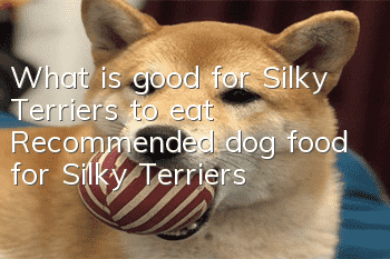 What is good for Silky Terriers to eat? Recommended dog food for Silky Terriers