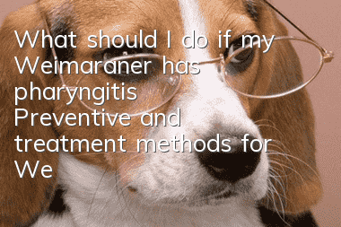 What should I do if my Weimaraner has pharyngitis? Preventive and treatment methods for Weimaraner pharyngitis
