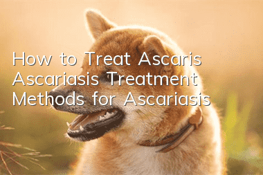 How to Treat Ascaris Ascariasis Treatment Methods for Ascariasis
