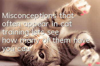 Misconceptions that often appear in cat training, let’s see how many of them have you caught this time?
