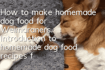 How to make homemade dog food for Weimaraners. Introduction to homemade dog food recipes for Weimaraners.