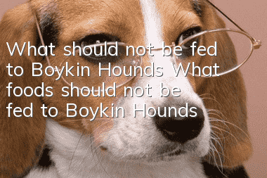 What should not be fed to Boykin Hounds? What foods should not be fed to Boykin Hounds?