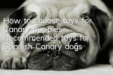 How to choose toys for Canary puppies Recommended toys for Spanish Canary dogs