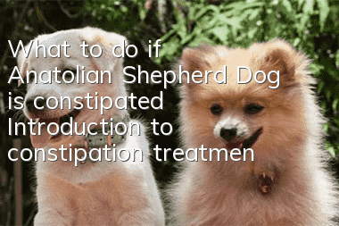 What to do if Anatolian Shepherd Dog is constipated? Introduction to constipation treatment methods