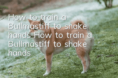 How to train a Bullmastiff to shake hands? How to train a Bullmastiff to shake hands?