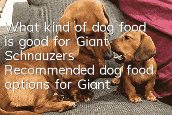 What kind of dog food is good for Giant Schnauzers? Recommended dog food options for Giant Schnauzers