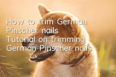How to trim German Pinscher nails Tutorial on trimming German Pinscher nails