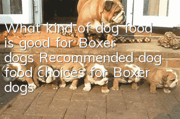 What kind of dog food is good for Boxer dogs? Recommended dog food choices for Boxer dogs