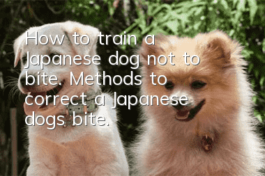 How to train a Japanese dog not to bite. Methods to correct a Japanese dog's bite.
